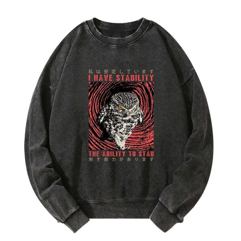Kyoto-Lion I Have Stability Owl Washed Sweatshirt