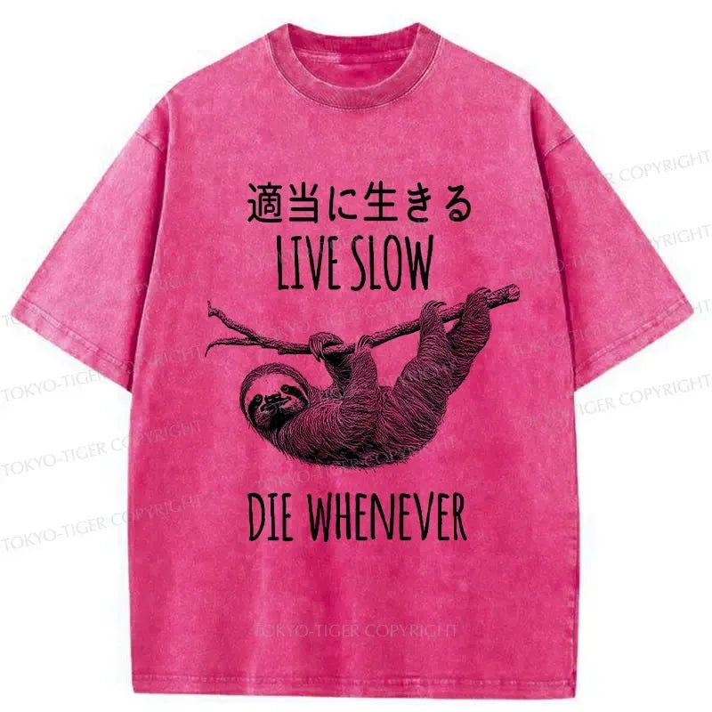 Kyoto Lion Streetwear T-Shirt for Vacation