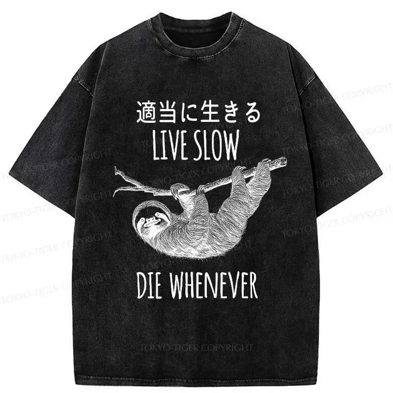 Kyoto Lion Streetwear T-Shirt for Vacation