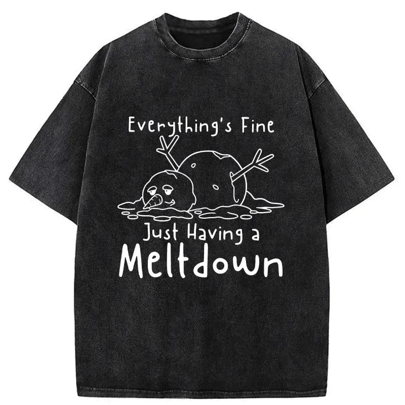 Kyoto-Lion Snowman Had An Emotional Breakdown Washed T-Shirt