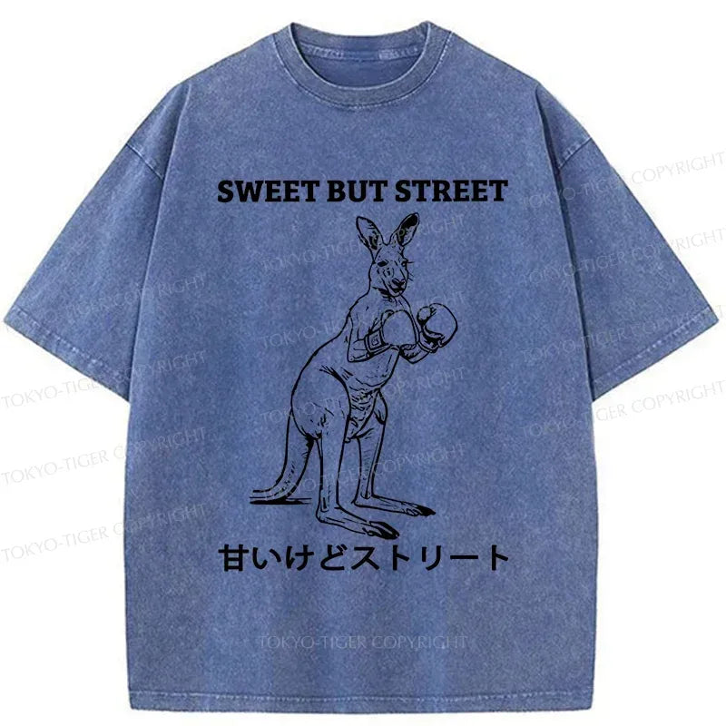Japanese Retro Kyoto-Lion T-Shirt on Sale