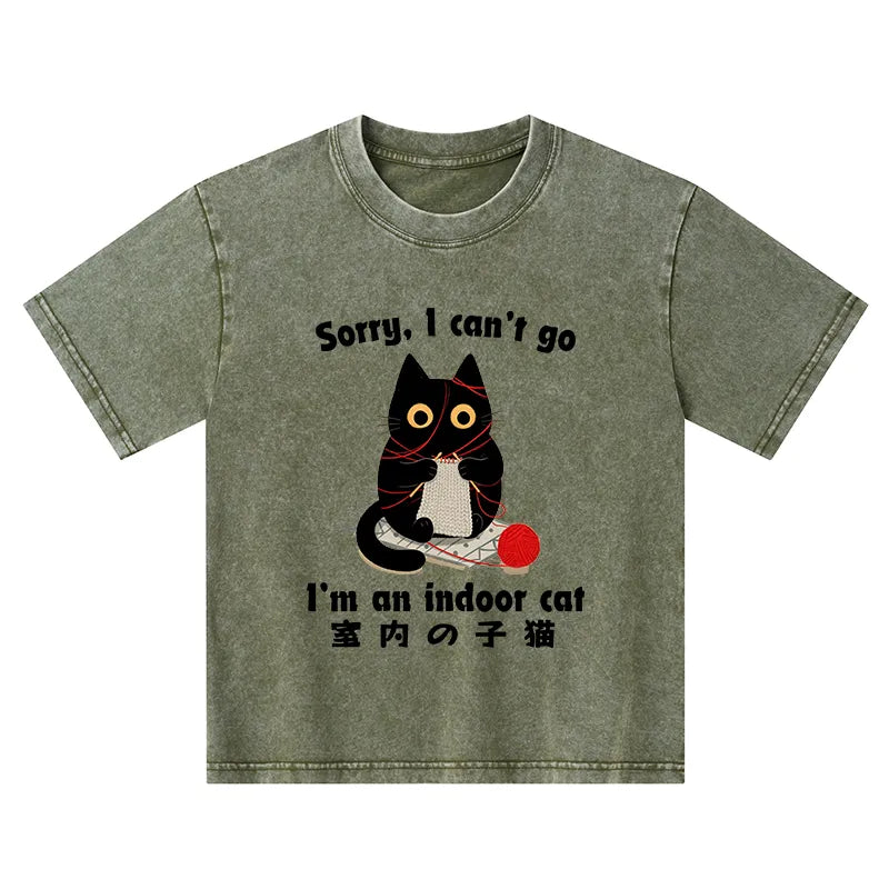 Kyoto-Lion Indoor Cat Meme Kids Washed T-Shirt