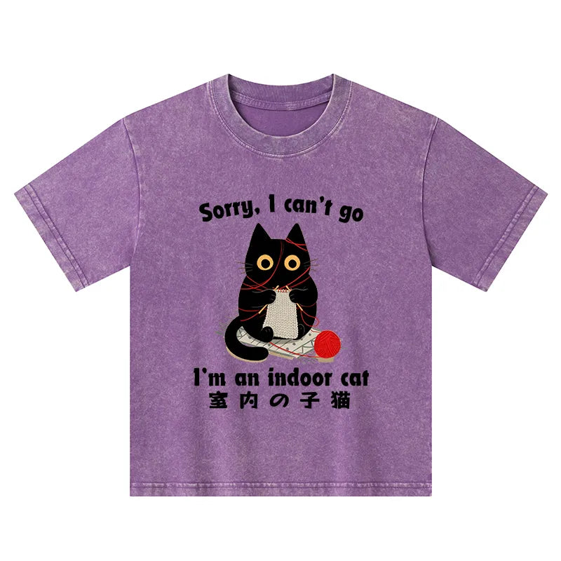 Kyoto-Lion Indoor Cat Meme Kids Washed T-Shirt
