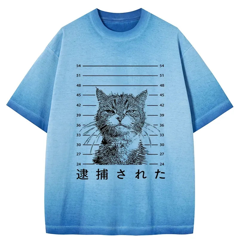 japanese gradient cat tee comfortable casual wear