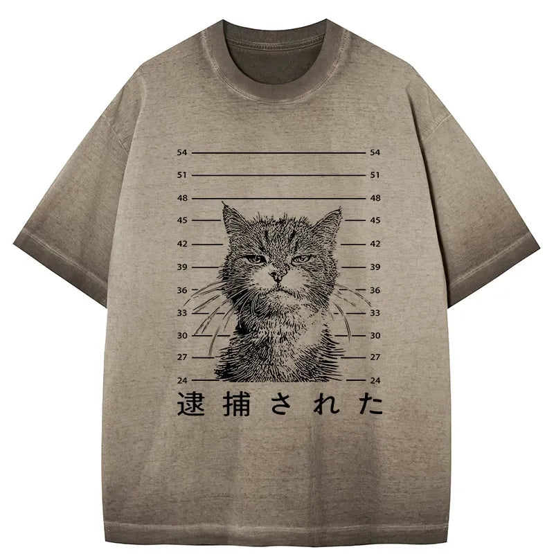 Kyoto-Lion Cat That Was Arrested Gradient Washed T-Shirt