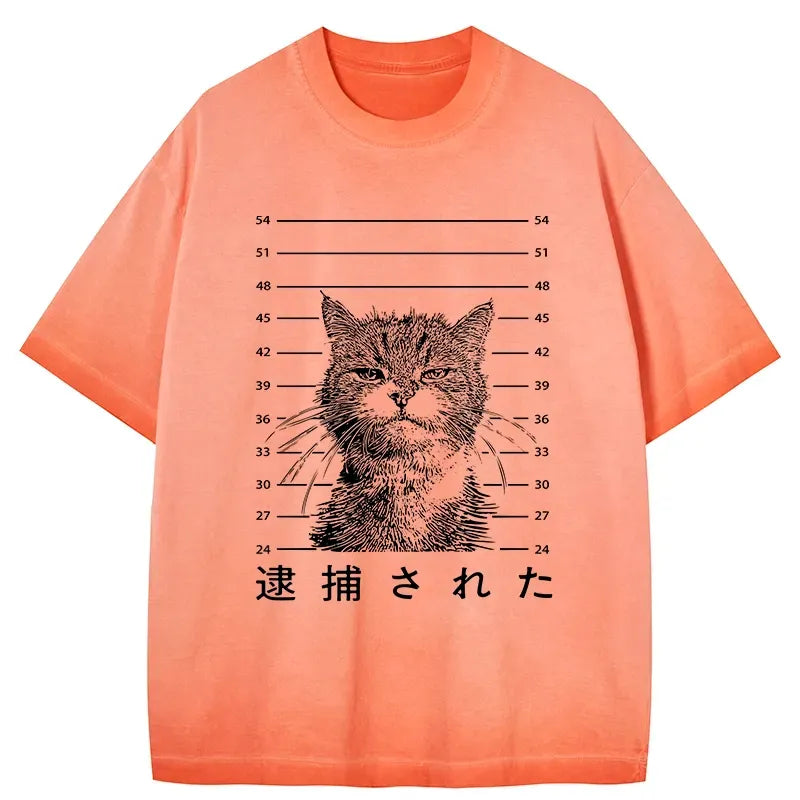 kyoto lion cat washed t-shirt free shipping