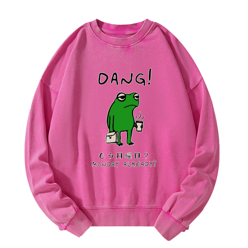 Kyoto-Lion Is It Already Monday Washed Sweatshirt