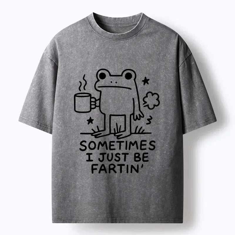 Kyoto-Lion Sometimes A Frog Just Needs To Fart Washed T-Shirt