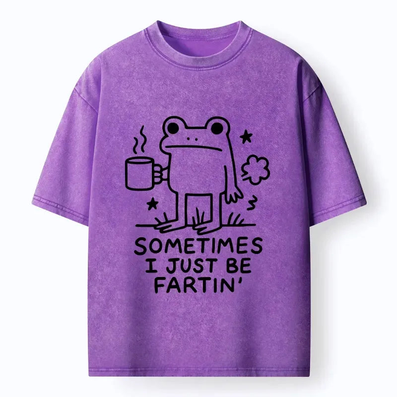 Kyoto-Lion Sometimes A Frog Just Needs To Fart Washed T-Shirt
