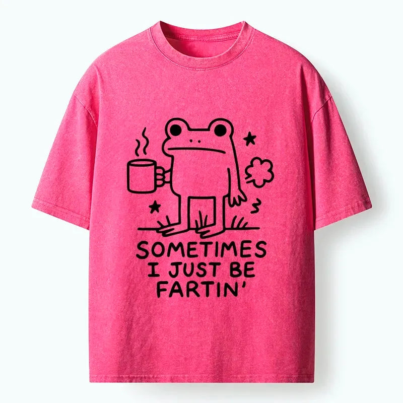 Kyoto-Lion Sometimes A Frog Just Needs To Fart Washed T-Shirt