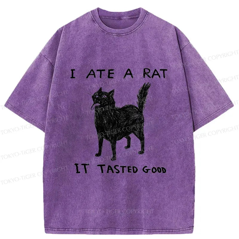 Kyoto-Lion Cat Tasting Delicious Mouse Washed T-Shirt