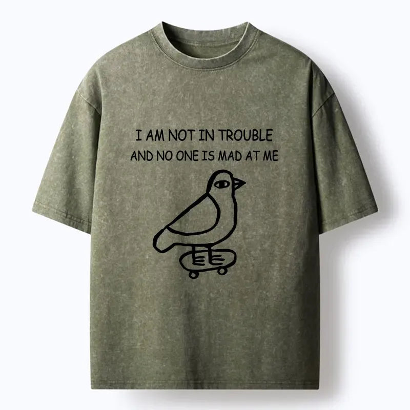Kyoto-Lion Bird Washed T-Shirt for Daily Wear