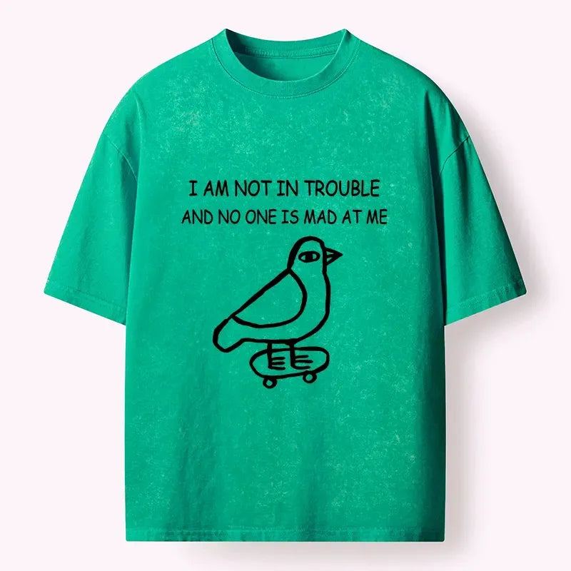 Kyoto-Lion Bird Washed T-Shirt for Daily Wear