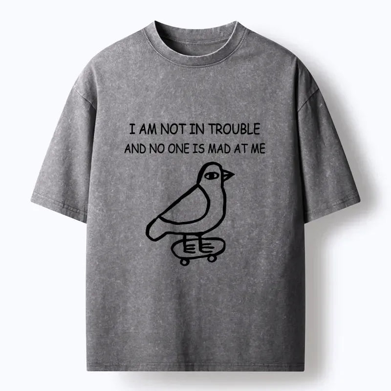 Kyoto-Lion Bird Pretends It Did Nothing Wrong Washed T-Shirt