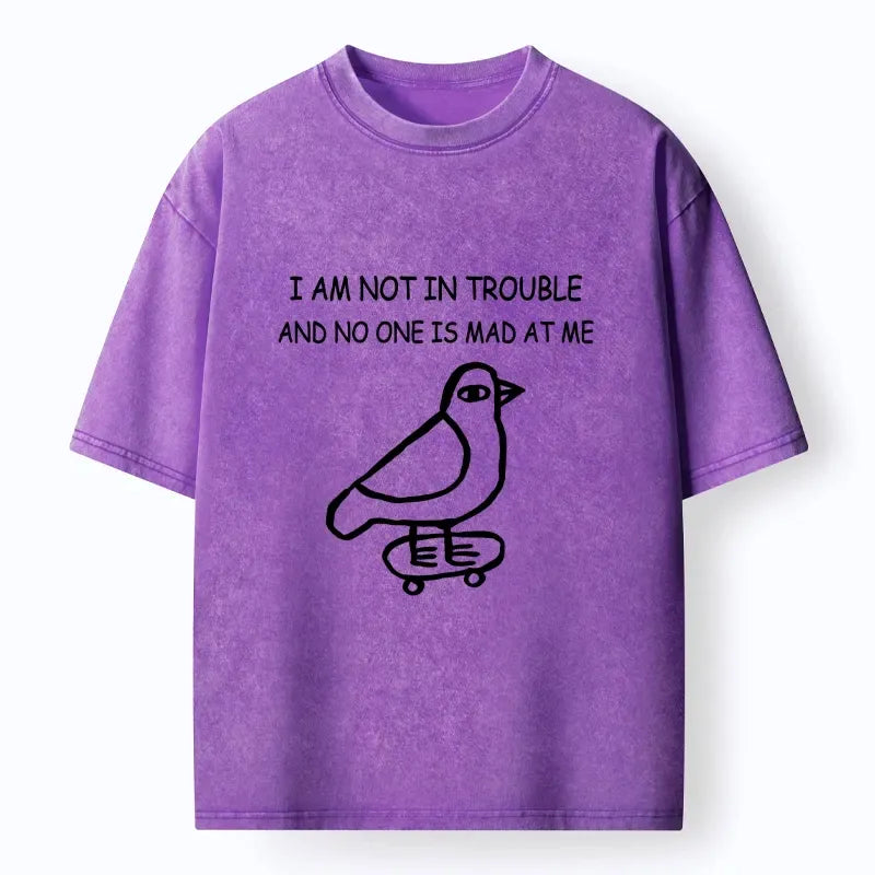 Kyoto-Lion Bird Pretends It Did Nothing Wrong Washed T-Shirt