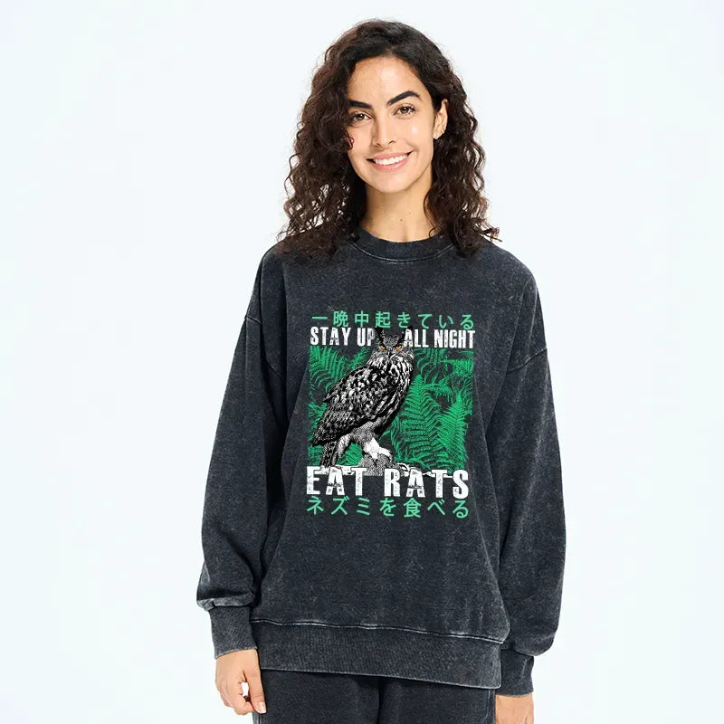 washed unisex sweatshirt with owl design