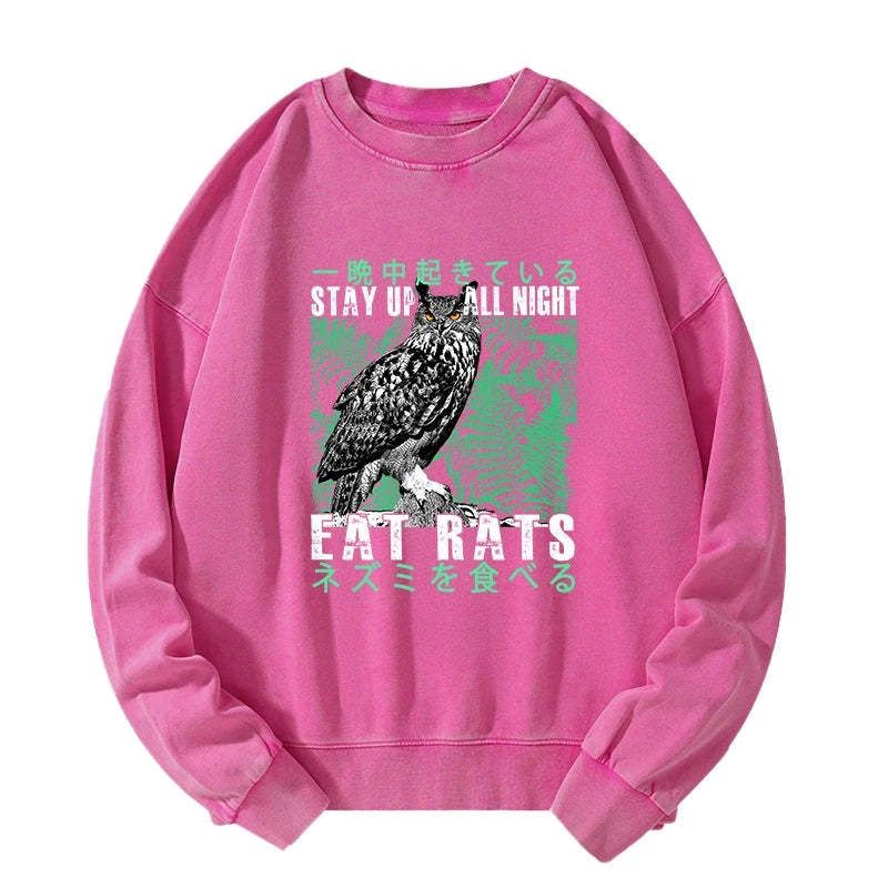 Kyoto-Lion Owls Prey On Rats At Night Washed Sweatshirt