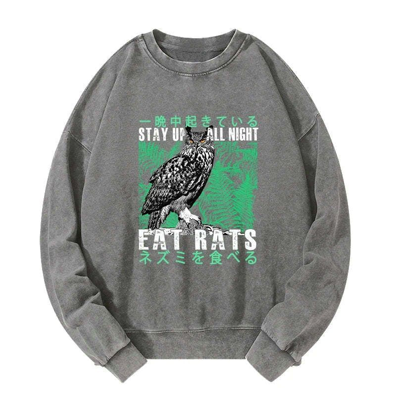 kyoto lion owl sweatshirt best seller