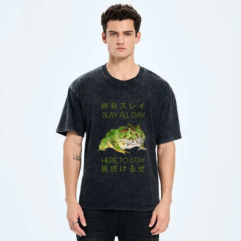 kyoto lion slay all day washed t-shirt for gift idea