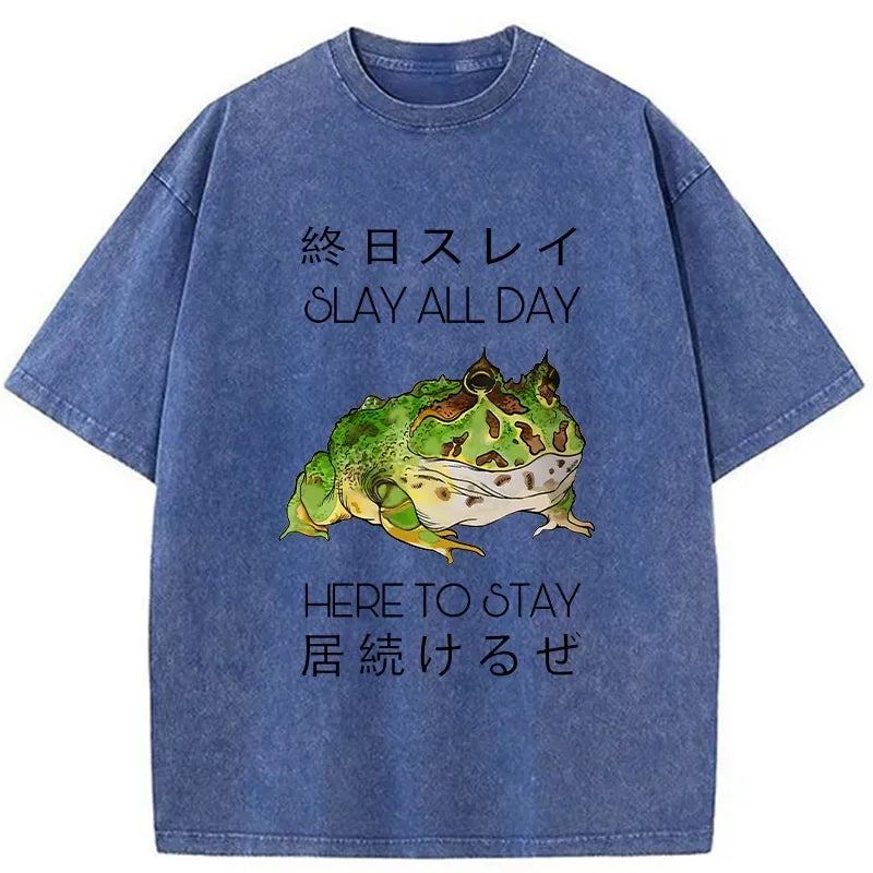 japanese lion washed t-shirt for everyday wear