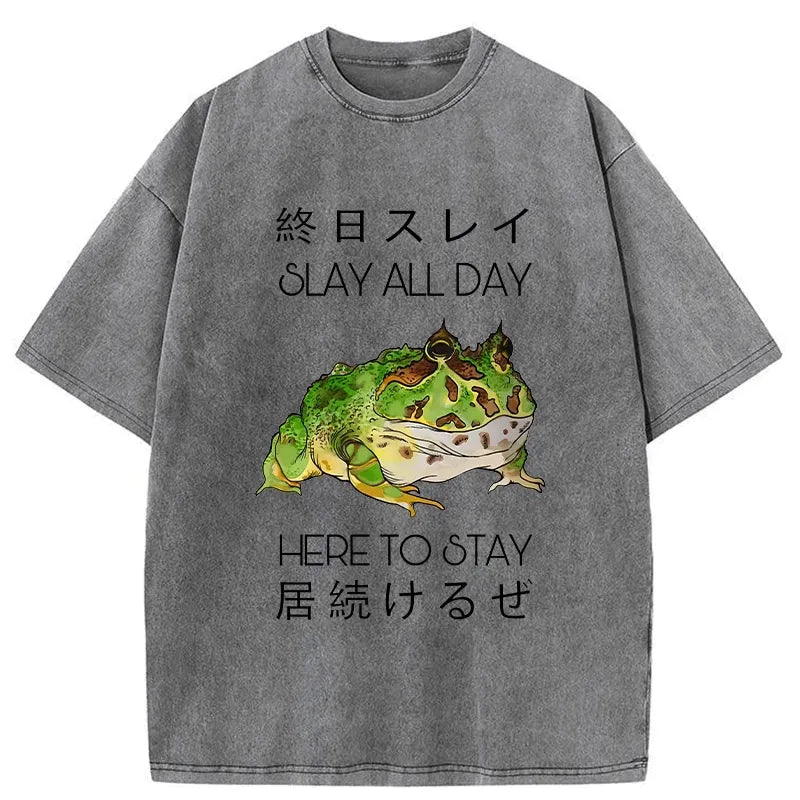 kyoto lion slay all day washed t-shirt for gift idea