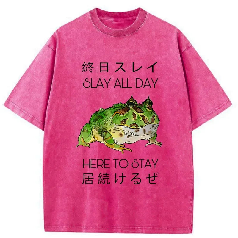 kyoto lion slay all day washed t-shirt for gift idea