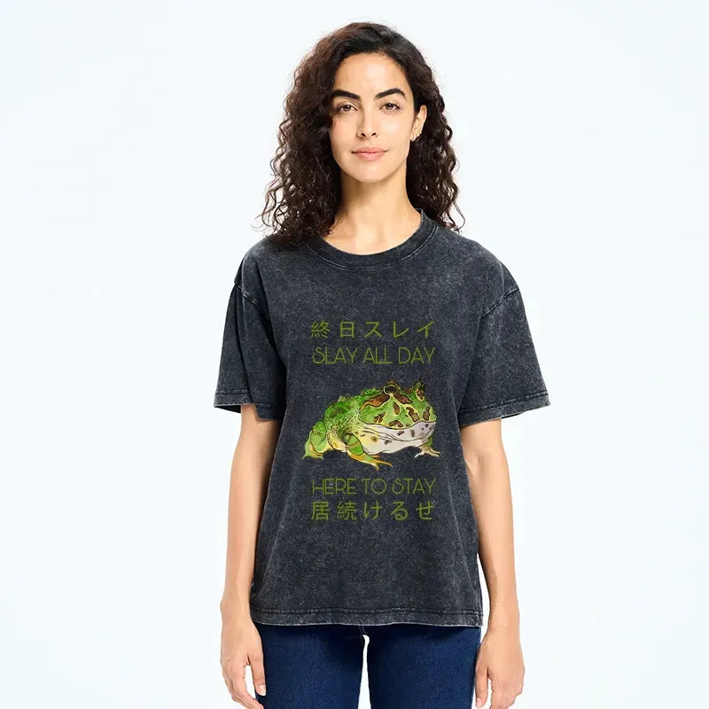 kyoto lion slay all day washed t-shirt for gift idea