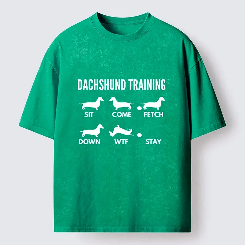 Japanese meme t-shirt for gift