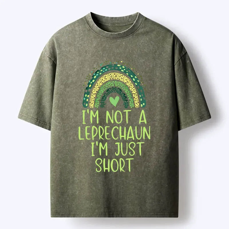 Funny St Patrick's Day Washed T-Shirt