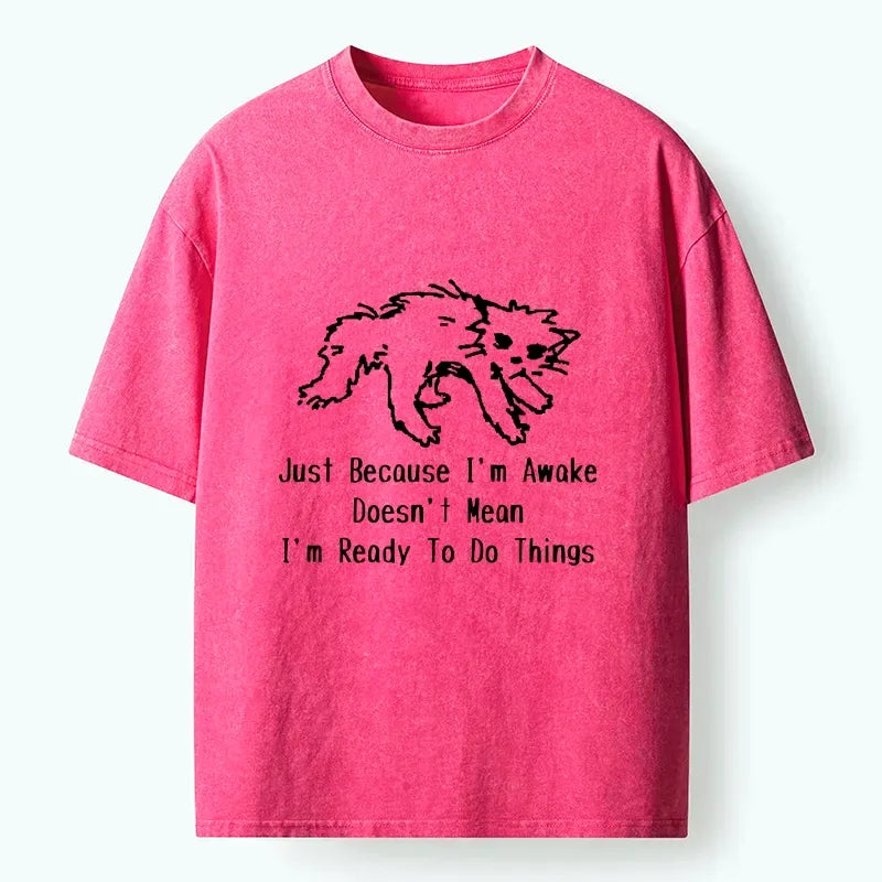 Kyoto-Lion Chill Tired Cat Slow Lazy Life Art Washed T-Shirt
