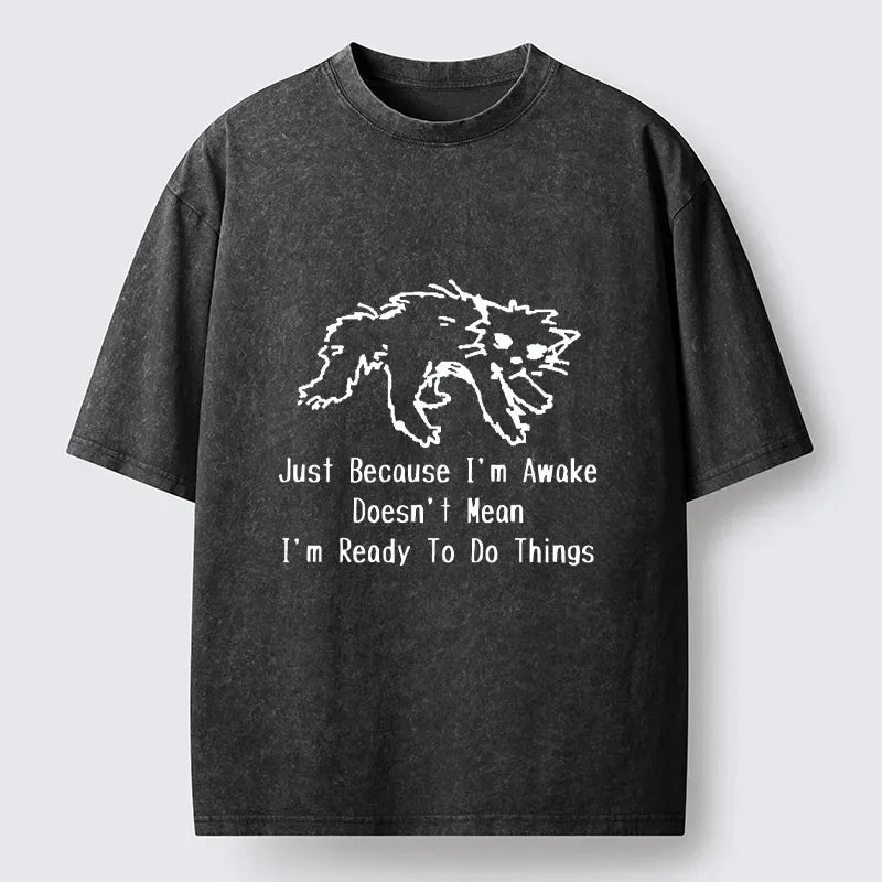 Kyoto-Lion Chill Tired Cat Slow Lazy Life Art Washed T-Shirt