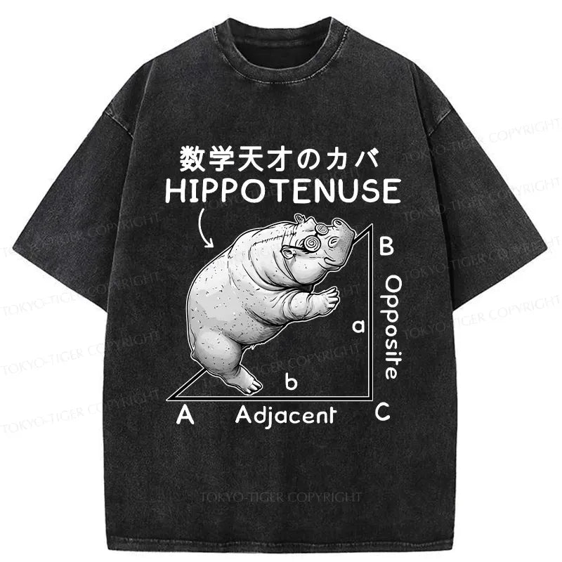 Unisex Washed T-Shirt Gift Idea for Him