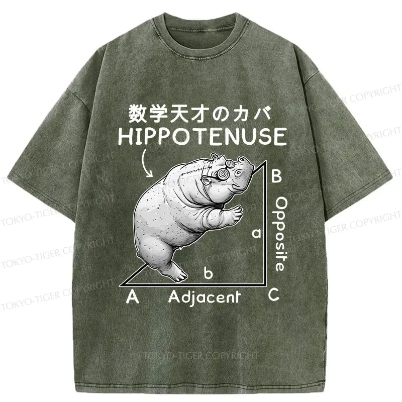 Retro Kyoto Lion Hippo Tee Casual Streetwear