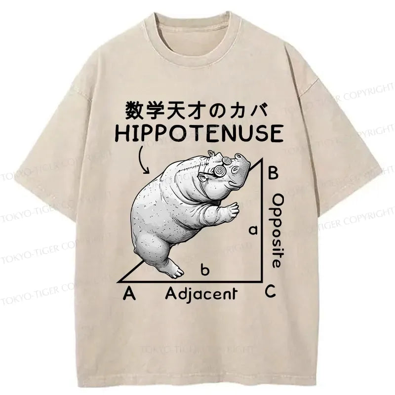 Kyoto-Lion Mathematical Genius Hippo Washed T-Shirt