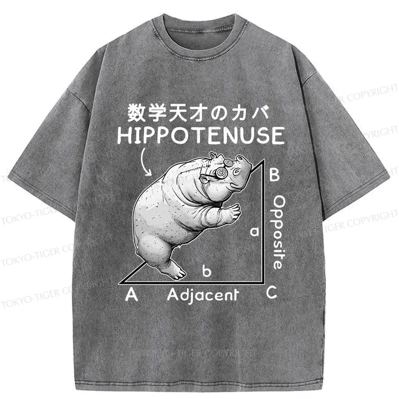 Unisex Washed T-Shirt Gift Idea for Him