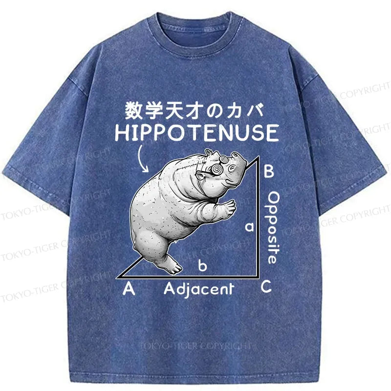 Kyoto-Lion Mathematical Genius Hippo Washed T-Shirt