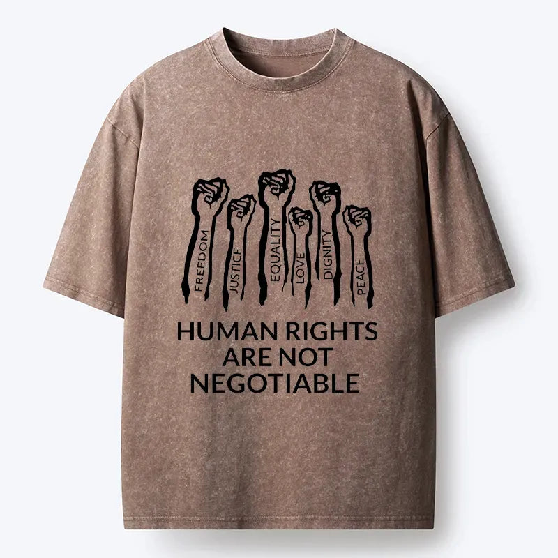 Kyoto Lion Washed T-Shirt for Streetwear