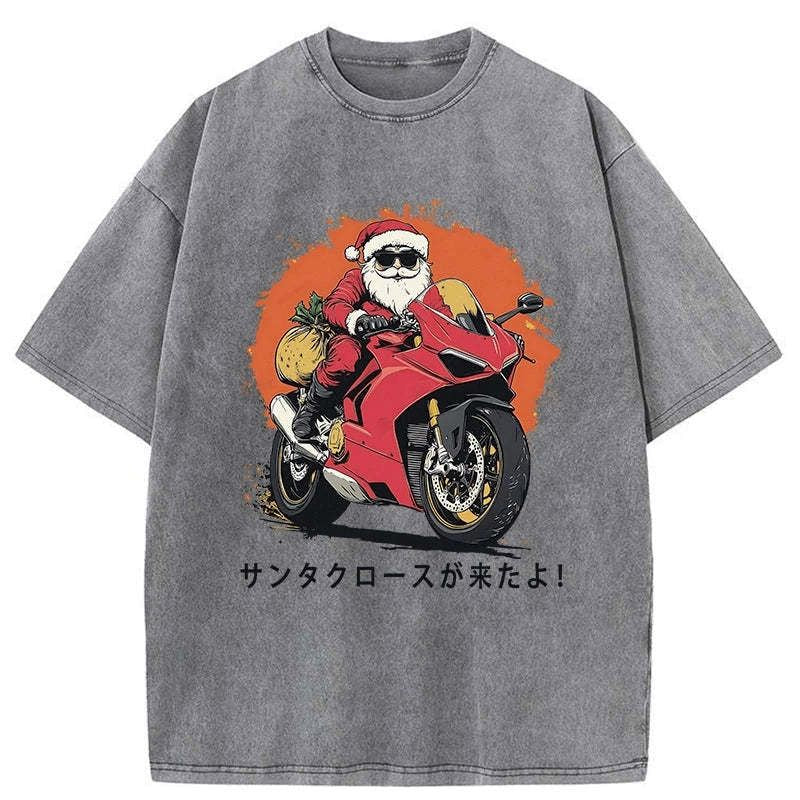 Kyoto Lion Washed T-Shirt Gift Idea