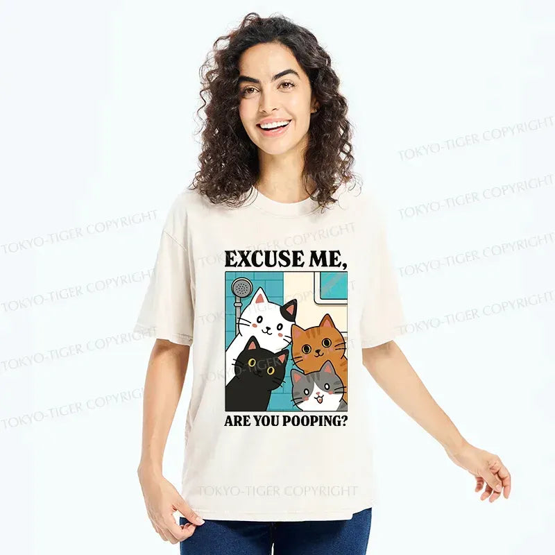 Kyoto-Lion Cats Is Staring At You Washed T-Shirt
