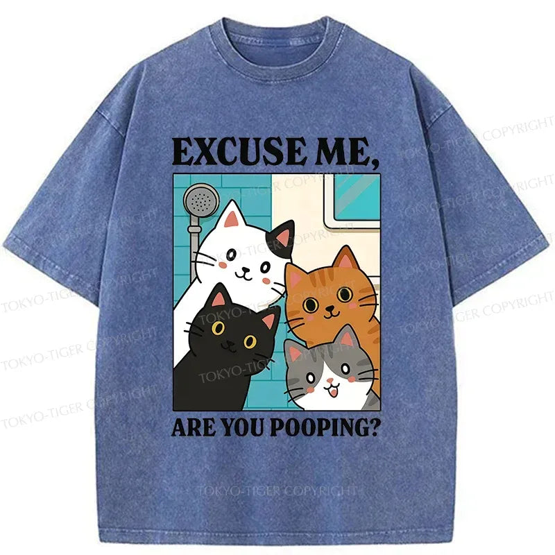 Kyoto-Lion Cats Is Staring At You Washed T-Shirt