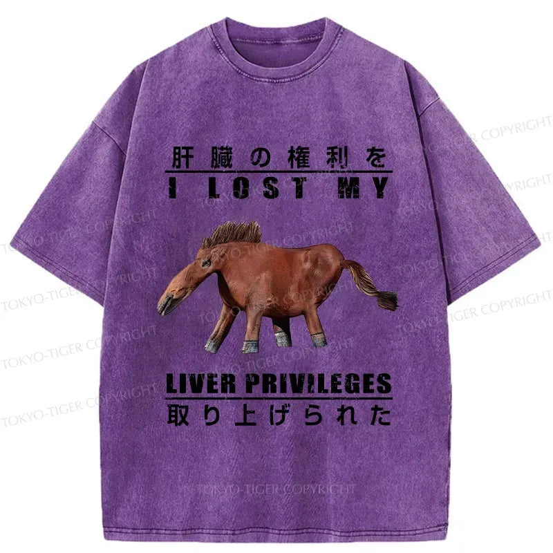 Kyoto-Lion I Lost My Liver Privileges Washed T-Shirt