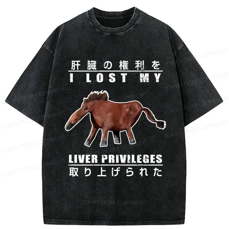 Funny Kyoto Lion T-Shirt Gift for Him