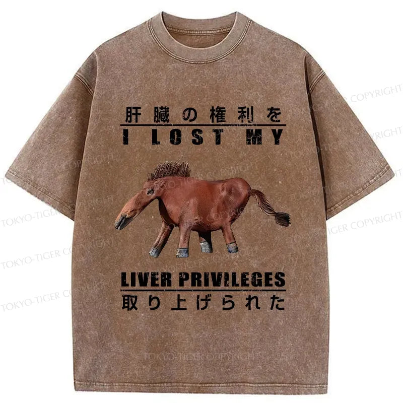 Funny Kyoto Lion T-Shirt Gift for Him