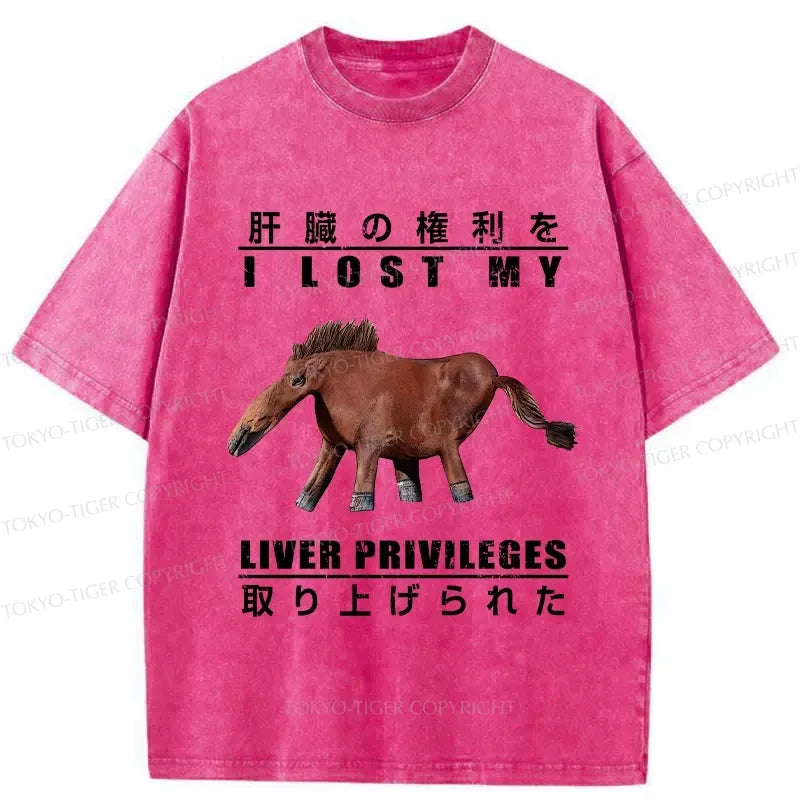 Vintage Japanese T-Shirt for Daily Wear