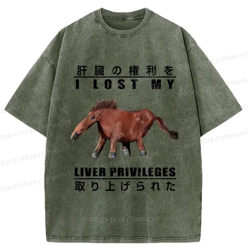 Funny Kyoto Lion T-Shirt Gift for Him