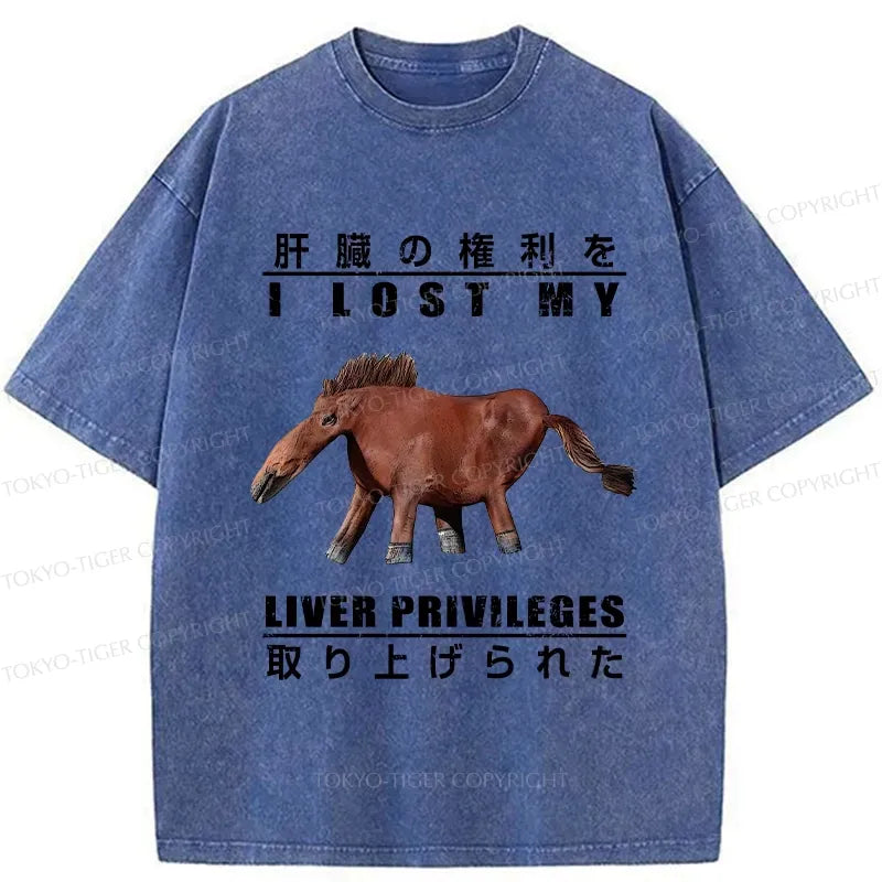 Kyoto-Lion I Lost My Liver Privileges Washed T-Shirt
