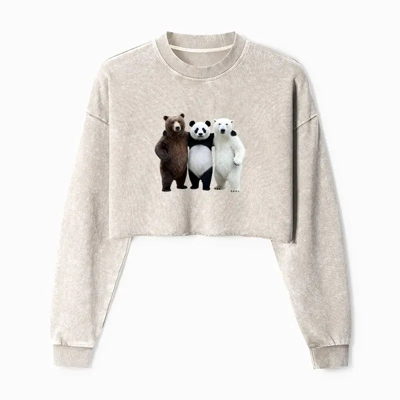 Crop Sweatshirt for Daily Wear Free Shipping