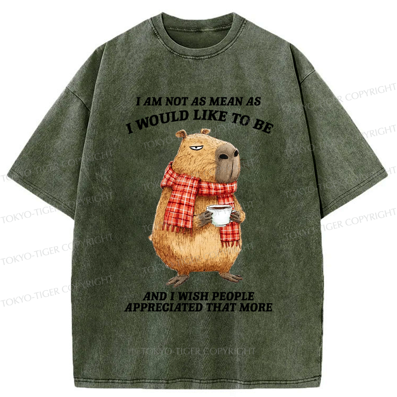 Japanese Capybara Washed T-Shirt