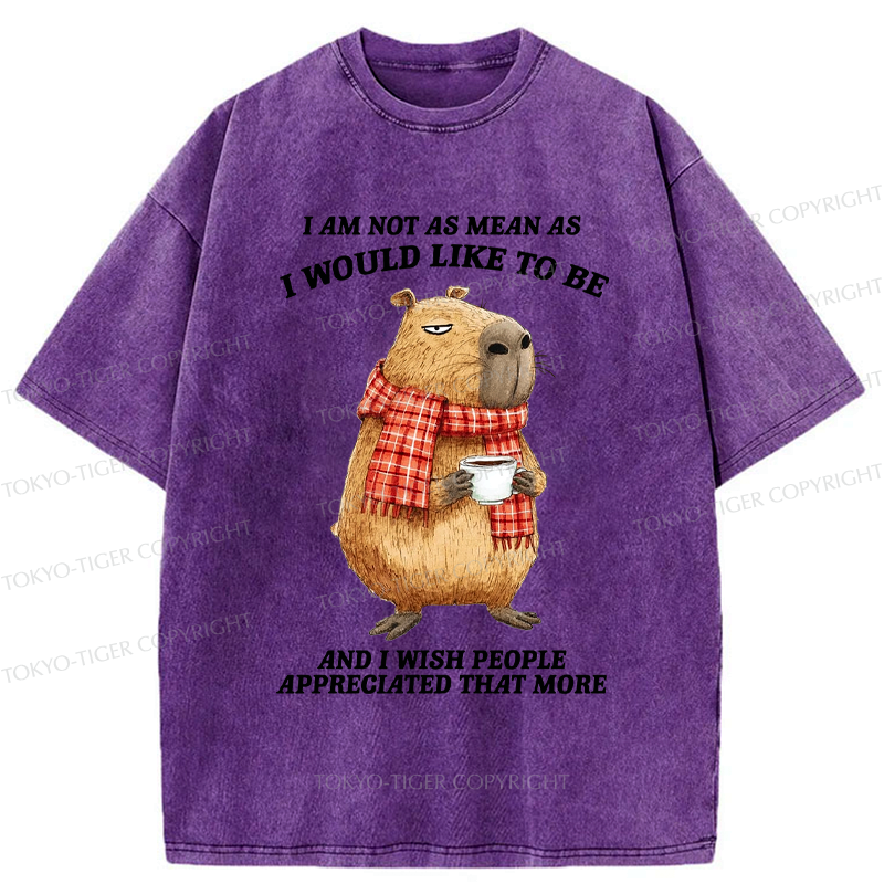Japanese Capybara Washed T-Shirt