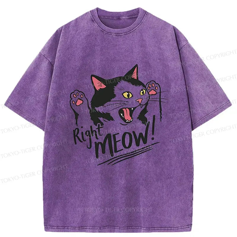 Funny Japanese Washed T-Shirt for Summer